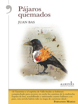 cover image of Pájaros quemados